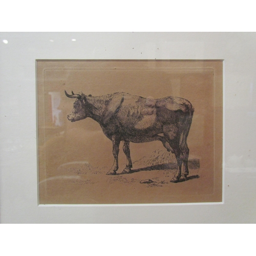 4088 - Four prints of cattle by lithographer Julius Bien & Co., framed as one, together with an etching of ... 