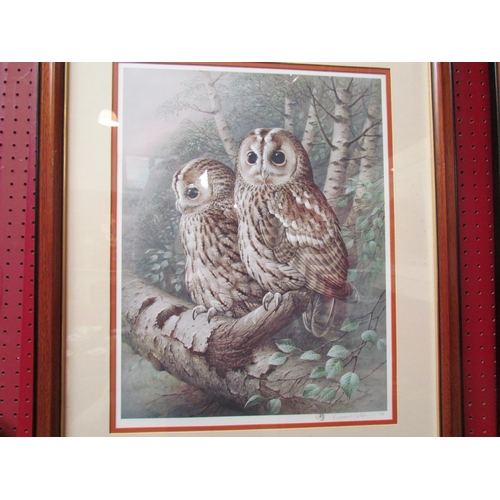 4131 - Two pencil signed Raymond Watson prints of owls, framed and glazed, 44cm x 34cm image sizes