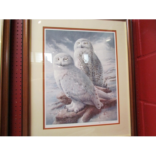 4131 - Two pencil signed Raymond Watson prints of owls, framed and glazed, 44cm x 34cm image sizes