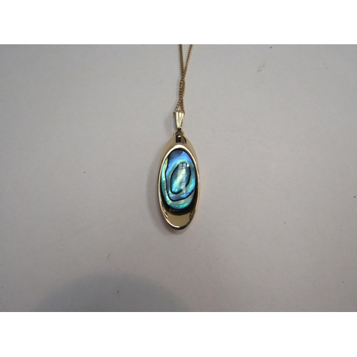 4376 - An Ariki paua shell pendant on chain and matching earrings