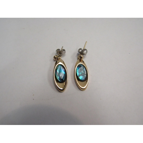 4376 - An Ariki paua shell pendant on chain and matching earrings