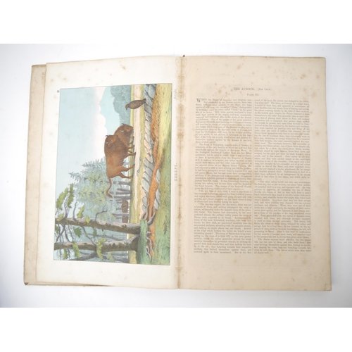 6106 - Six assorted children's & illustrated titles, 19th Century Juvenile literature etc, including 'The I... 