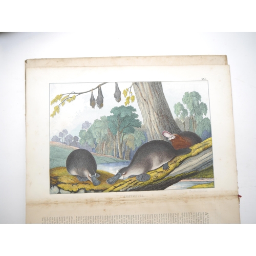 6106 - Six assorted children's & illustrated titles, 19th Century Juvenile literature etc, including 'The I... 