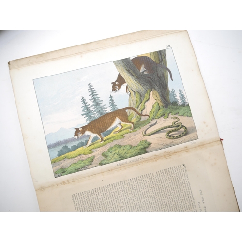 6106 - Six assorted children's & illustrated titles, 19th Century Juvenile literature etc, including 'The I... 