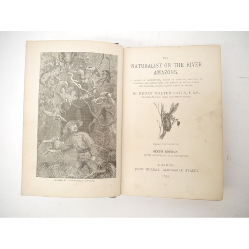 6325 - Henry Walter Bates: 'The Naturalist on the River Amazons. A record of adventures, habits of animals,... 