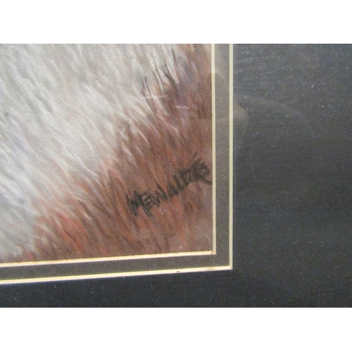 1236 - M.E. WALTERS: A gouache of a horse's eye. Signed lower right. Framed and glazed.  31.5cm x 22.5cm im... 