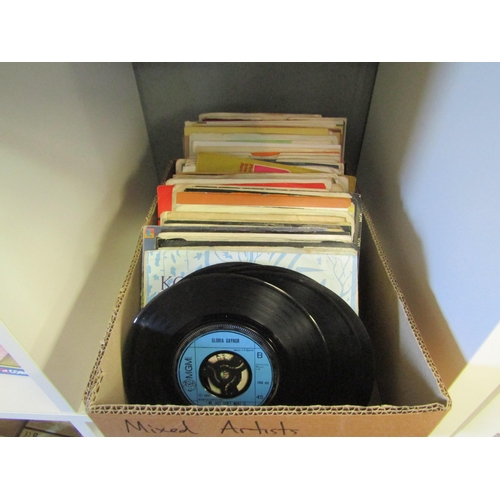 Lot 1246      