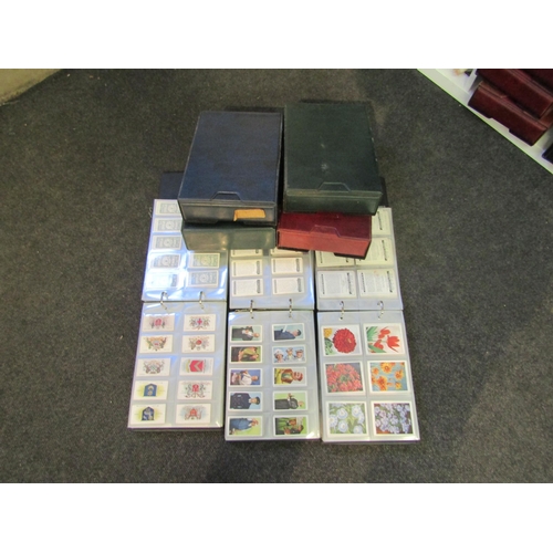 Lot 1257      