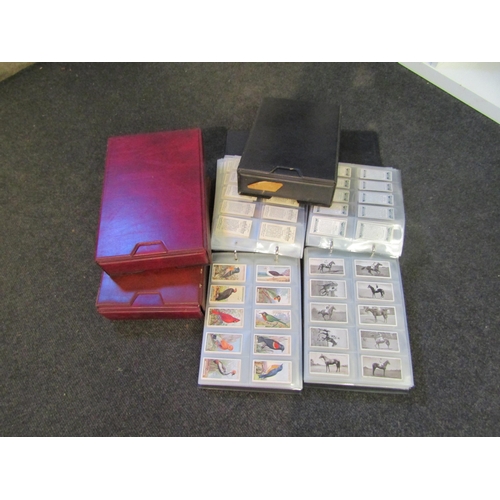 Lot 1259      