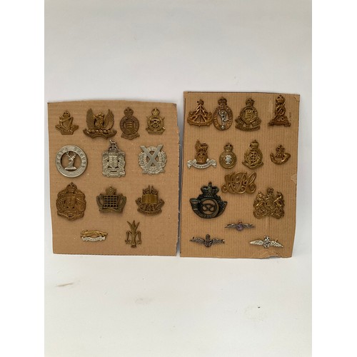 9110 - Four boards of mixed British Regimental cap badges including 1850s Staffordshire Rifle Volunteers an... 