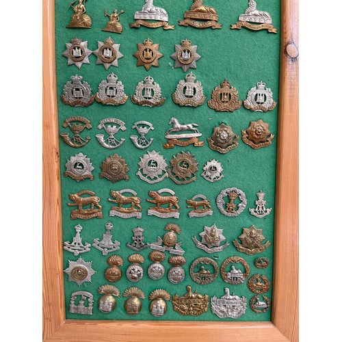 9163 - A board of British Infantry regiment badges including Suffolk Regiment, Norfolk Regiment and Leicest... 