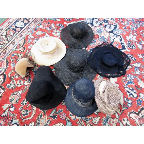 Lot 5037      