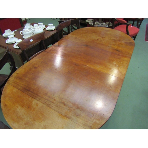 4067 - A Regency mahogany D-end extending dining table, reeded outswept legs to lion paw brass castors, 70c... 