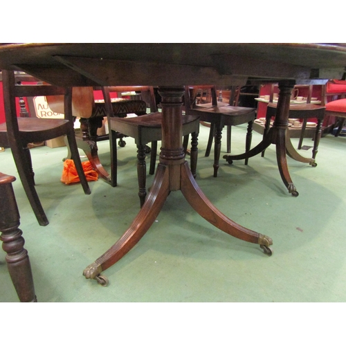 4067 - A Regency mahogany D-end extending dining table, reeded outswept legs to lion paw brass castors, 70c... 