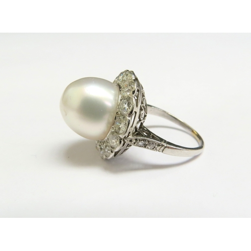 8008 - A platinum ring set with a large pearl 12mm diameter framed by fourteen diamonds, 1.40ct total appro... 