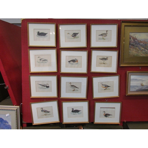 1059 - A quantity of framed and glazed bookplates depicting waterfowl including Eider Duck, Surf Scoter, et... 