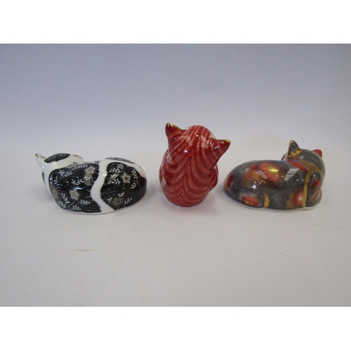 1311 - Three Royal Crown Derby paperweights Catnip Kitten, silver stopper, Misty, gold stopper and Playful ... 