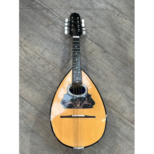 7107 - A 20th Century round-back mandolin with foliate design pickguard, soft cased