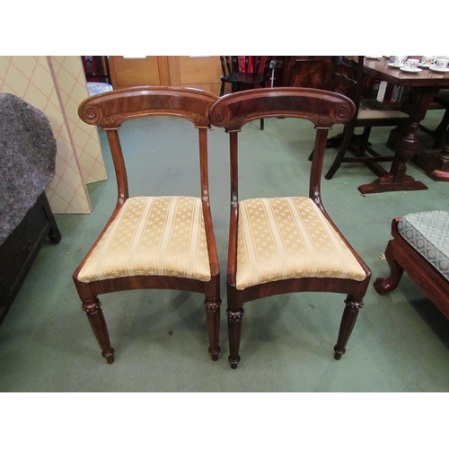 4127 - A pair of William IV mahogany chairs with carved backrest over concave front seats on turned and cha... 