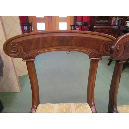 4127 - A pair of William IV mahogany chairs with carved backrest over concave front seats on turned and cha... 