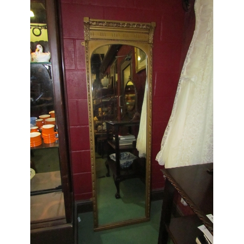 4191 - A large 19th Century decorative gilt framed plate glass pier mirror, 173cm x 53cm total  
     (R)  ... 