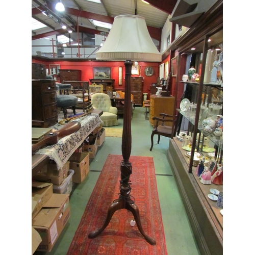 4193 - A mahogany standard lamp with carved and fluted column on a ball in claw foot tripod base