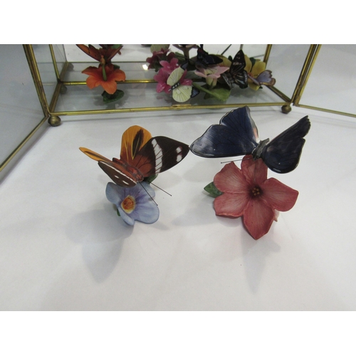 4360 - A collection of Franklin butterflies with certificates, in glass display case     (E)    £20-30