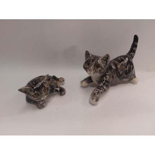 4067 - A pair of Winstanley tabby kittens with overhanging paws