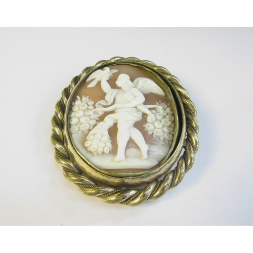 8304 - An oval carved shell cameo brooch depicting man with a bow and bird of prey