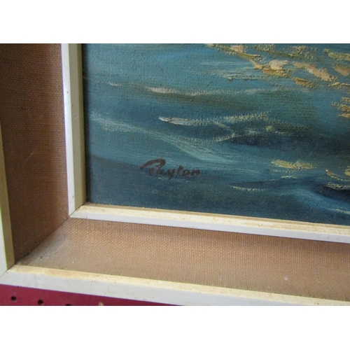 1045 - PAYTON: An oil on board depicting a ship under full sail.  Signed lower left.  Framed. 50cm x 40cm i... 