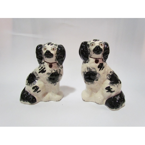 4052 - A pair of Victorian Staffordshire black and white dogs, crazing, 20cm tall