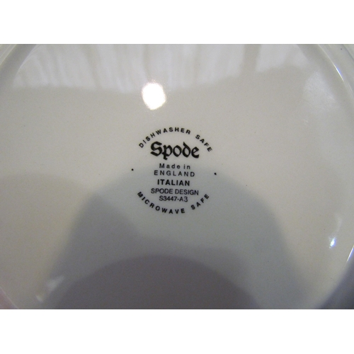 4005 - A Spode 