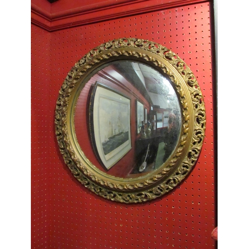 4044 - A mid-20th Century circular convex mirror, gilt acanthus leaf frame, 52cm diameter total