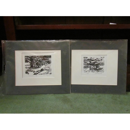 4090 - Two Anne Hayward limited edition prints, wheelbarrow No. 41/50, 8cm x 10cm image size, and 