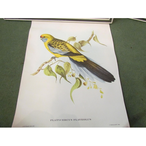 4135 - A set of three J. Gould bird prints, together with another, each framed and glazed, and two unframed... 