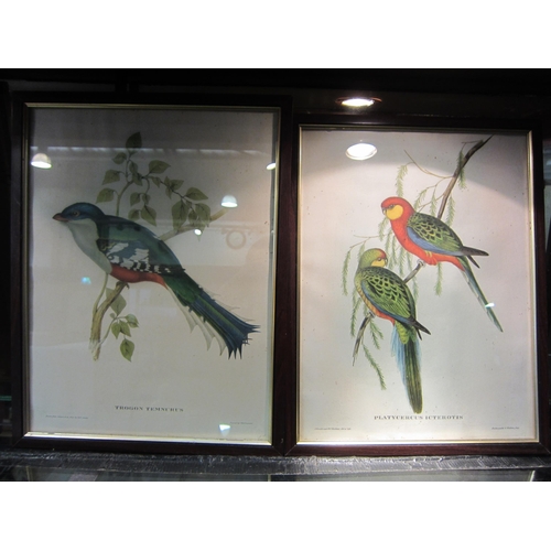 4265 - A set of four J. Gould prints of birds, 39.5cm x 29.5cm, and another in gilt bamboo effect frame