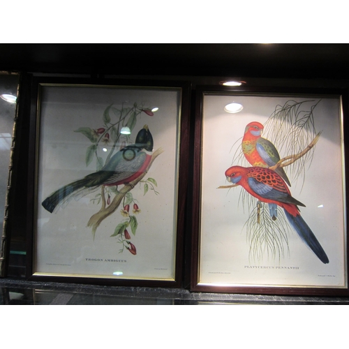 4265 - A set of four J. Gould prints of birds, 39.5cm x 29.5cm, and another in gilt bamboo effect frame