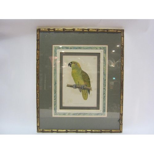 4265 - A set of four J. Gould prints of birds, 39.5cm x 29.5cm, and another in gilt bamboo effect frame