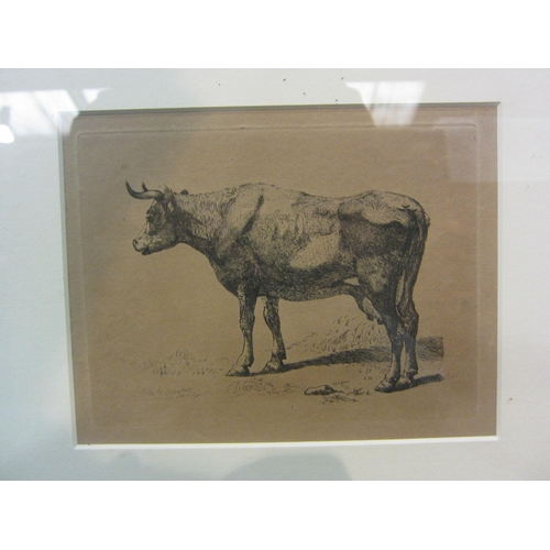 4283 - Three framed and glazed pictures of vintage cattle including Professor Low illustration 