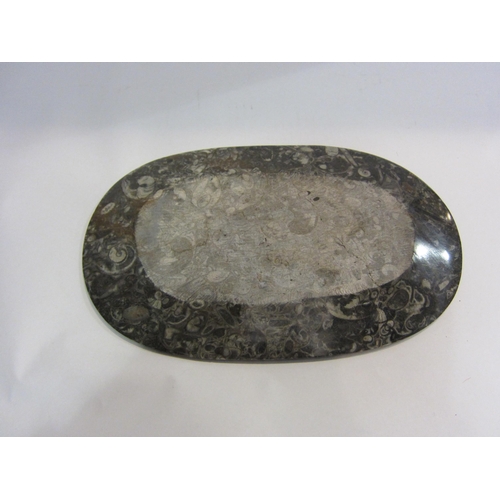 4073 - A polished marble fossil design dish, cracked, 31cm long