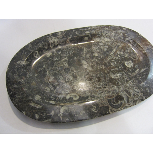 4073 - A polished marble fossil design dish, cracked, 31cm long