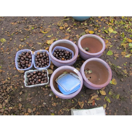 3288 - Four purple glazed plant pots and a qty of decorative glazed spheres