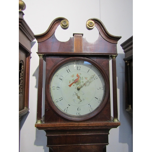 8002 - A 19th Century oak and mahogany 30-hour longcase clock, with chain drive, pinned count wheel to back... 