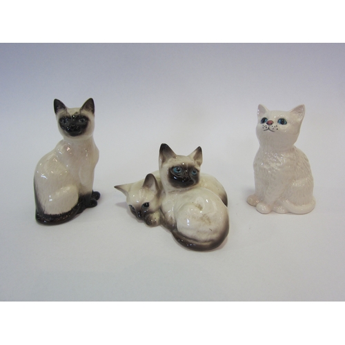 1018 - A Royal Doulton Persian Kitten in white gloss, model no. 1886, Beswick Siamese Cat in seal point glo... 