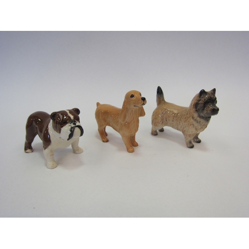 1020 - Three Beswick small dogs - Cairn Terrier in gloss, model no. 2112, Cocker Spaniel in gloss, model no... 