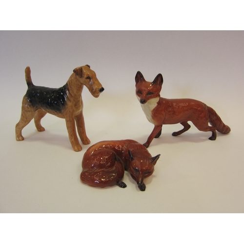 1025 - A Beswick Airedale Terrier 