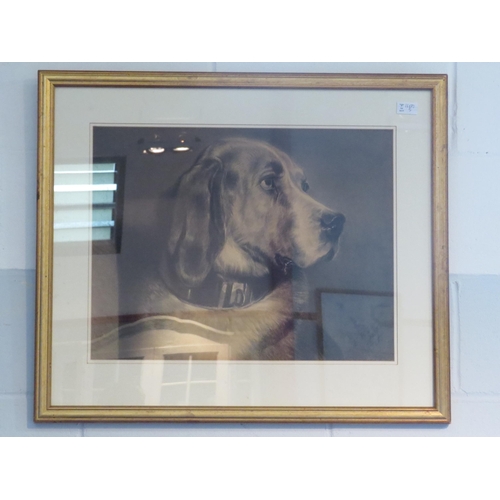 1039 - A still life print of dog wearing collar, gilt framed and glazed, 42.5cm x 55.5cm image size