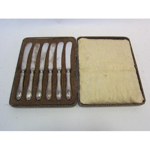 1393 - A set of six silver handled butter knives marked Sheffield, cased  (E)  £15-25