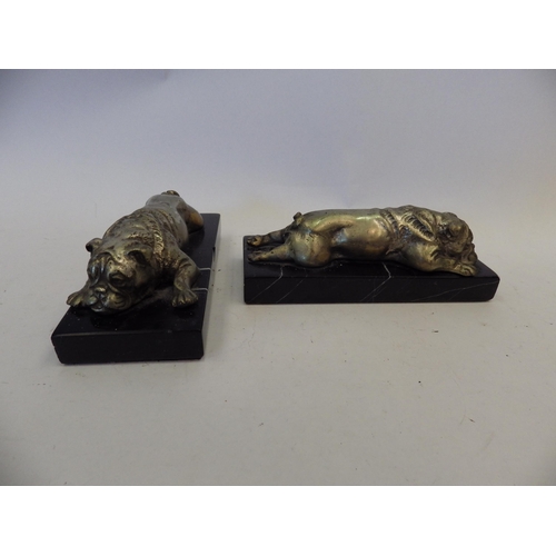 1445 - A pair of brass bull terriers on black marble bases, 18.5cm long