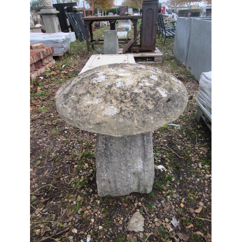 9149 - A staddle stone with cap